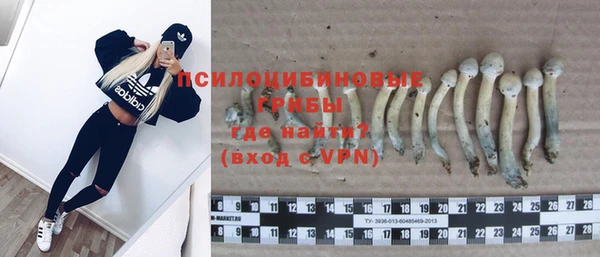 ПСИЛОЦИБИНОВЫЕ ГРИБЫ Михайловка
