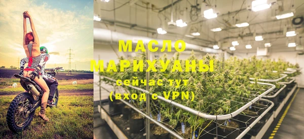 мет Ельня