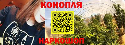 таблы Гатчина