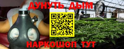 молекула духа Гагарин