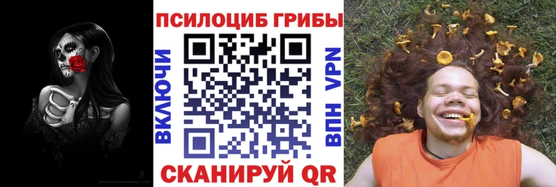 Псилоцибиновые грибы Magic Shrooms  Елабуга 