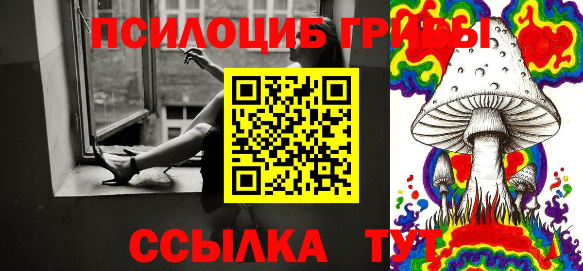 Псилоцибиновые грибы Psilocybine cubensis  Вход с VPN  Елабуга  что такое   Псилоцибиновые грибы ЛСД 