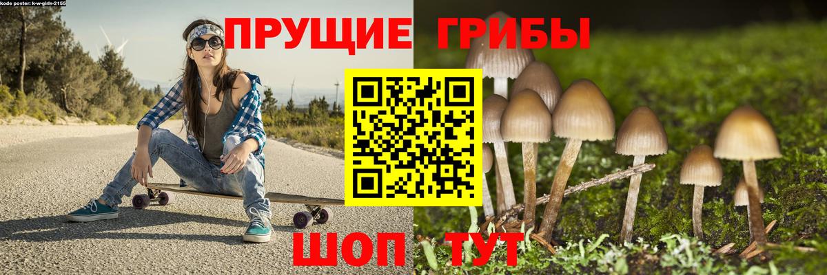 Псилоцибиновые грибы мицелий  Елабуга  Псилоцибиновые грибы Psilocybine cubensis 