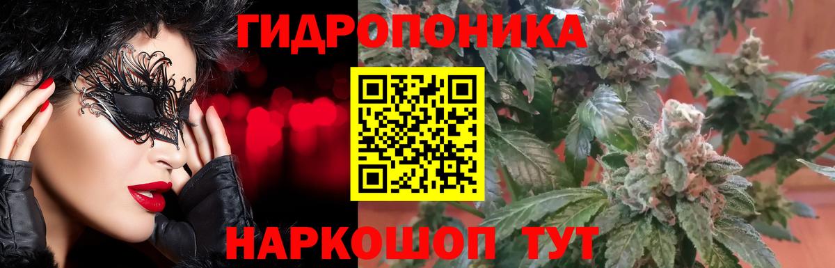 Елабуга  Марихуана марихуана  Вход с VPN  Шишки марихуана VHQ  Каннабис индика 